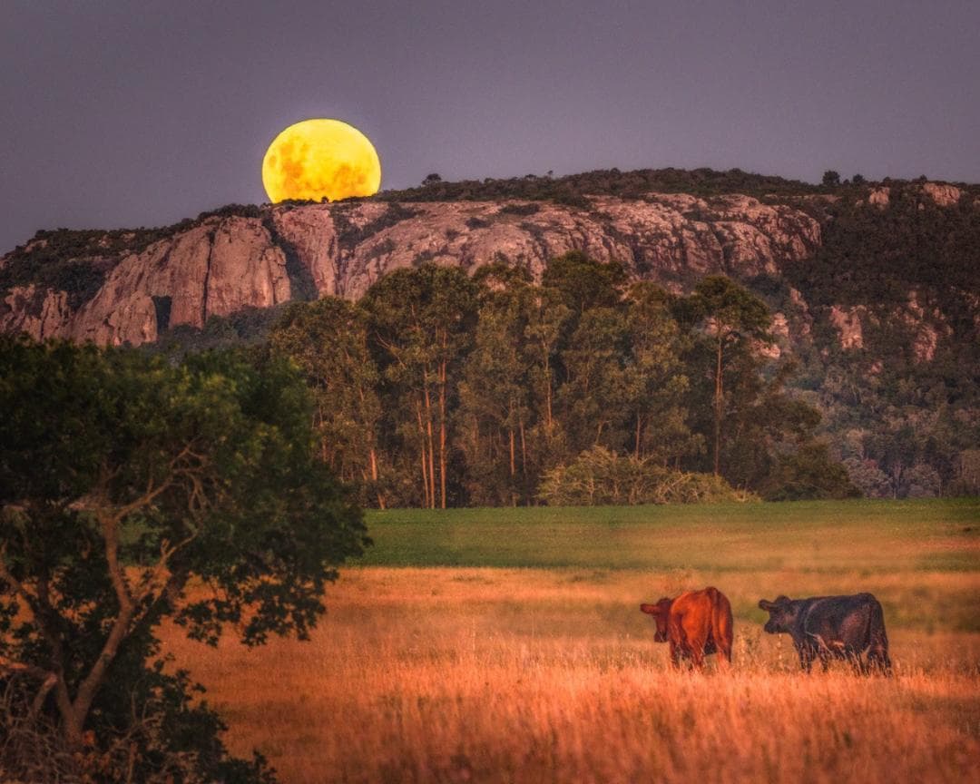 Imagen 9 de la galeria