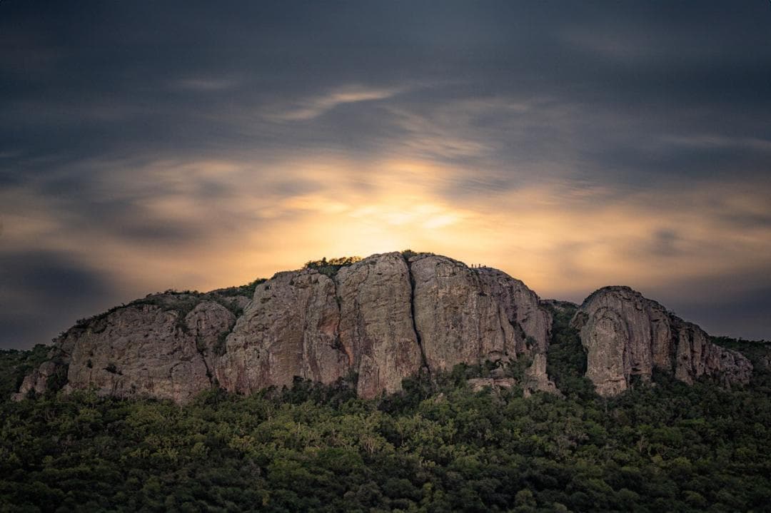 Imagen 36 de la galeria