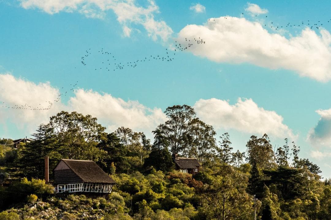 Imagen 37 de la galeria