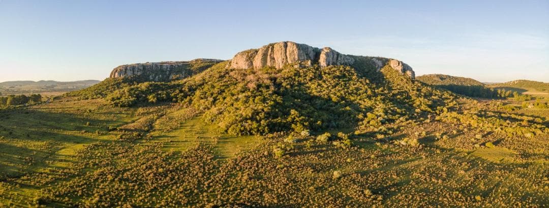 Imagen 56 de la galeria