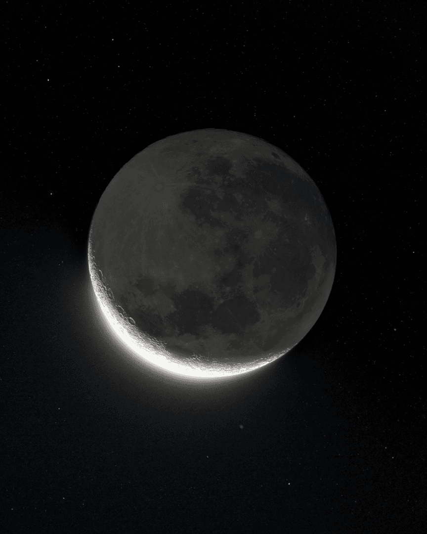 Imagen 1 de la galeria